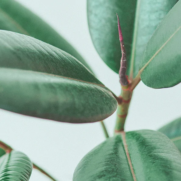 ブルーとグリーンの院内