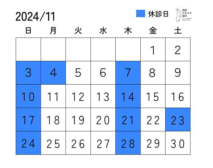 11月の診療日